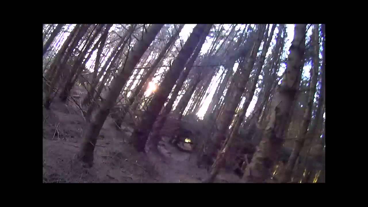 Kayaking the river Forth from Aberfoyle to Stirling