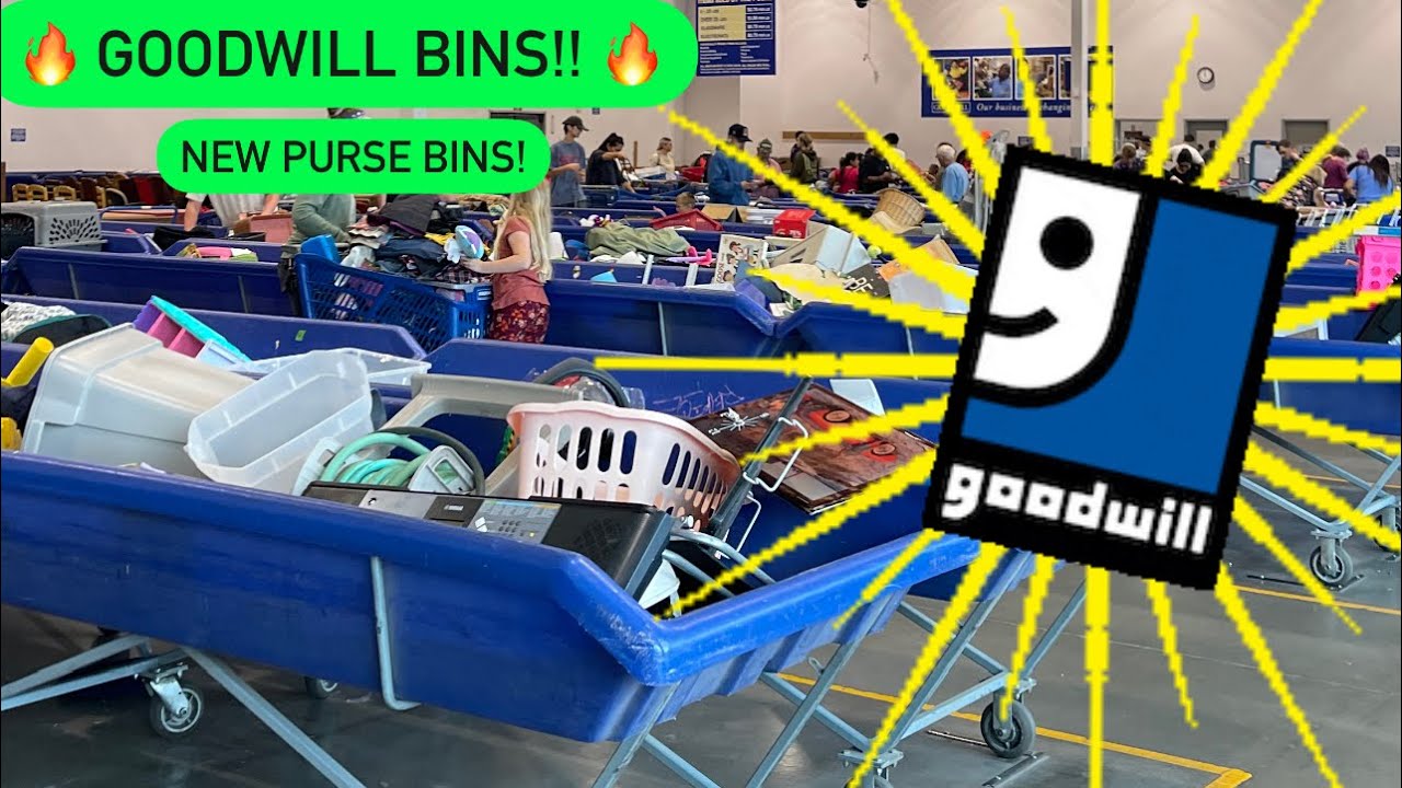 Let’s Go To Goodwill Bins! New Purse Bins Are OUT And People Went CRAZY! Thrift With Me! +HAUL!