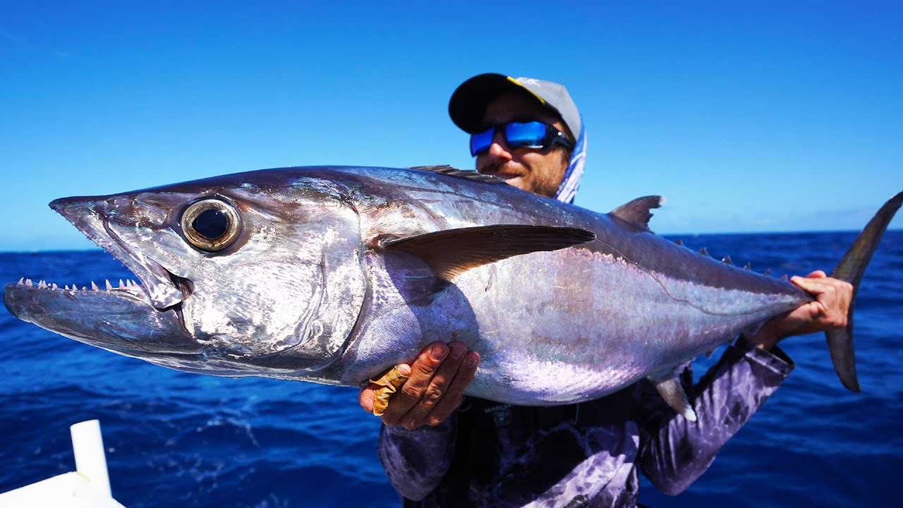 We Finally Get a Dogtooth Tuna at Kenn Reef