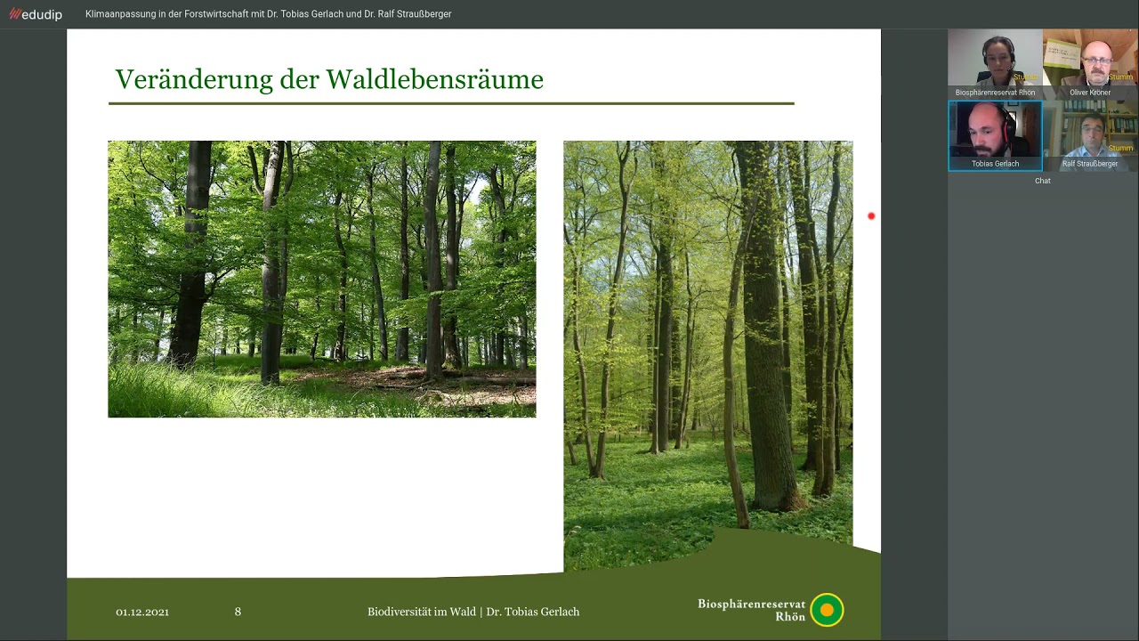 Klimaanpassung in der Forstwirtschaft &ndash; Dr. Tobias Gerlach