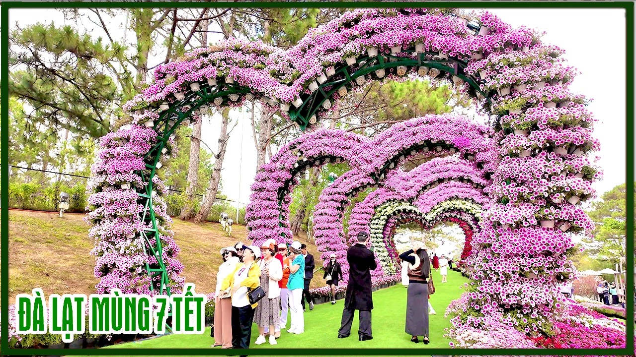Đà Lạt hôm nay mùng 7 Tết - Du khách vẫn lên đông, đồi Cù điểm vui chơi ngắm hoa mới