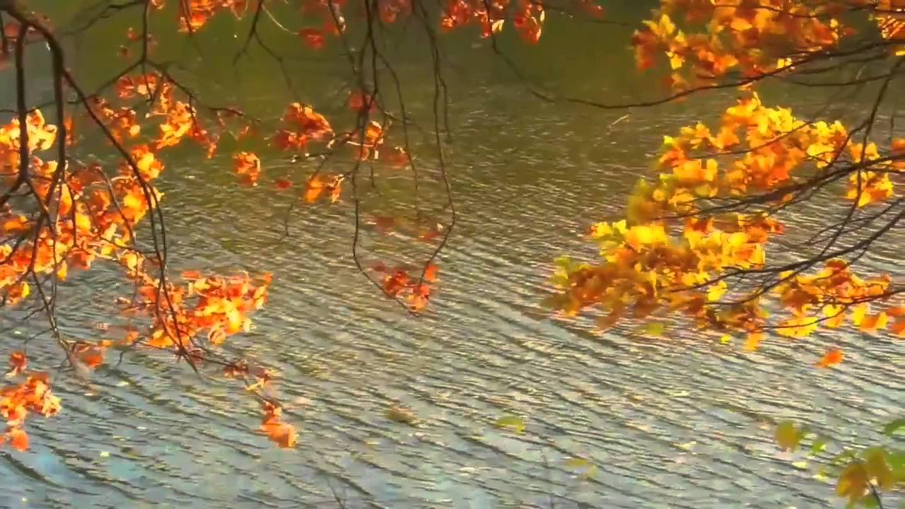 Осінній етюд