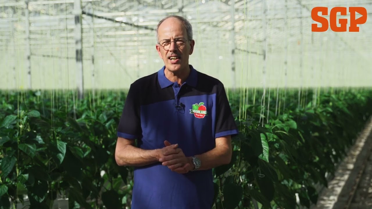 Kandidaat 8 | Ton Noorland | IJsselmuiden