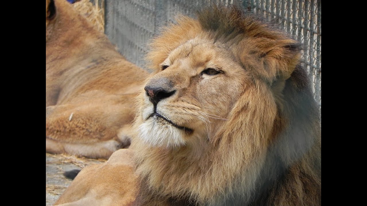 Zoo Zagreb-Maksimir
