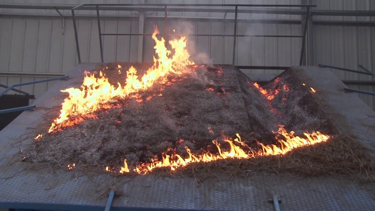 Centro de Estudos sobre incêndios Florestais da ADAI (CEIF-ADAI) 2019