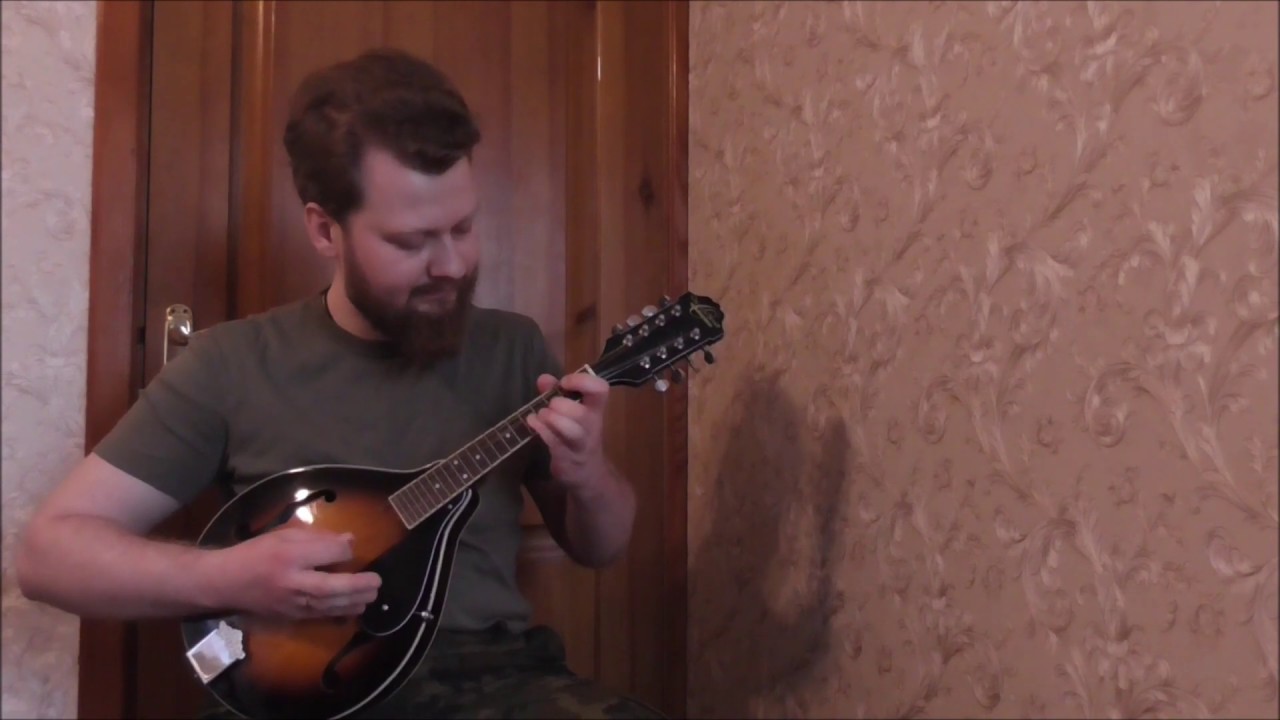Mandolin Oscar Schmidt By  Washburn-OM10 .