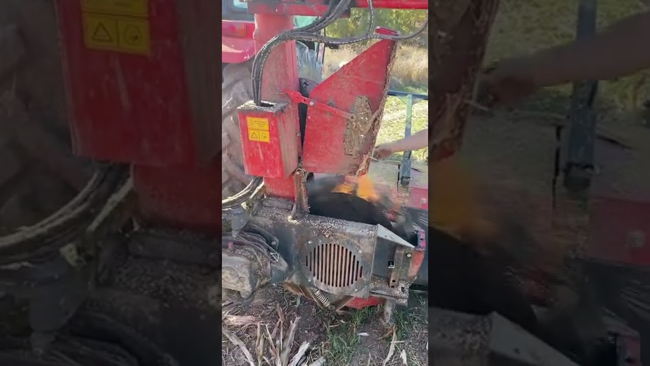 İKİ SIRALI SIRA BAĞIMSIZ MISIR SİLAJ MAKİNESİ / BIGDRUM 1250/ 🚜