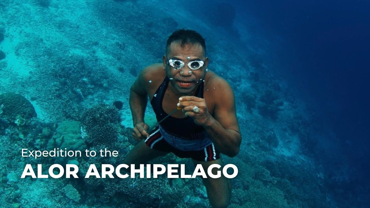 Expedition to the Alor Archipelago with Freedive Nusa