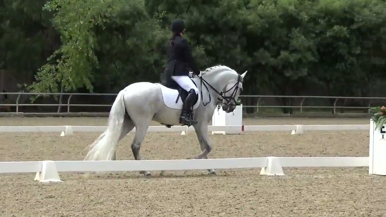USDF 2023 Training Level Test 2