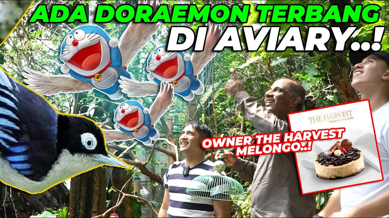 SERIUS INI ADA DORAEMON MASUK AVIARY..? OWNER THE HARVEST LANGSUNG TAKJUB GAESSSSS....