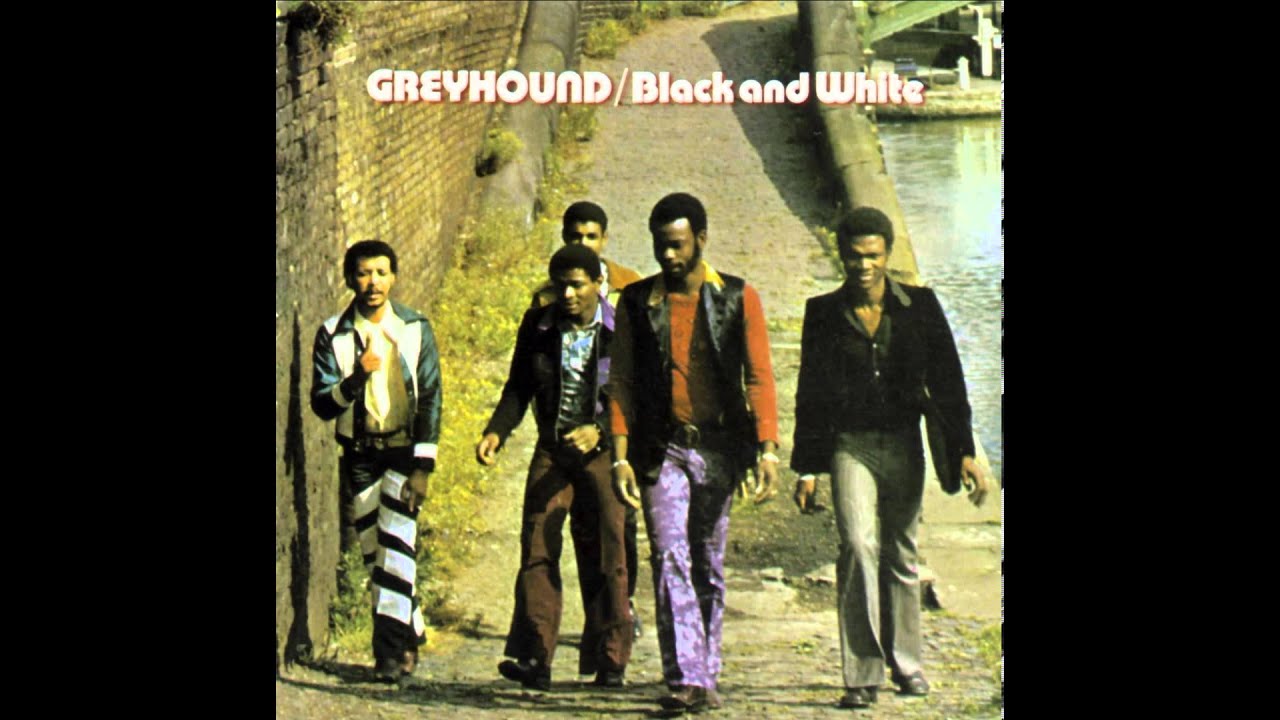Greyhound - Jamaica Rum HD