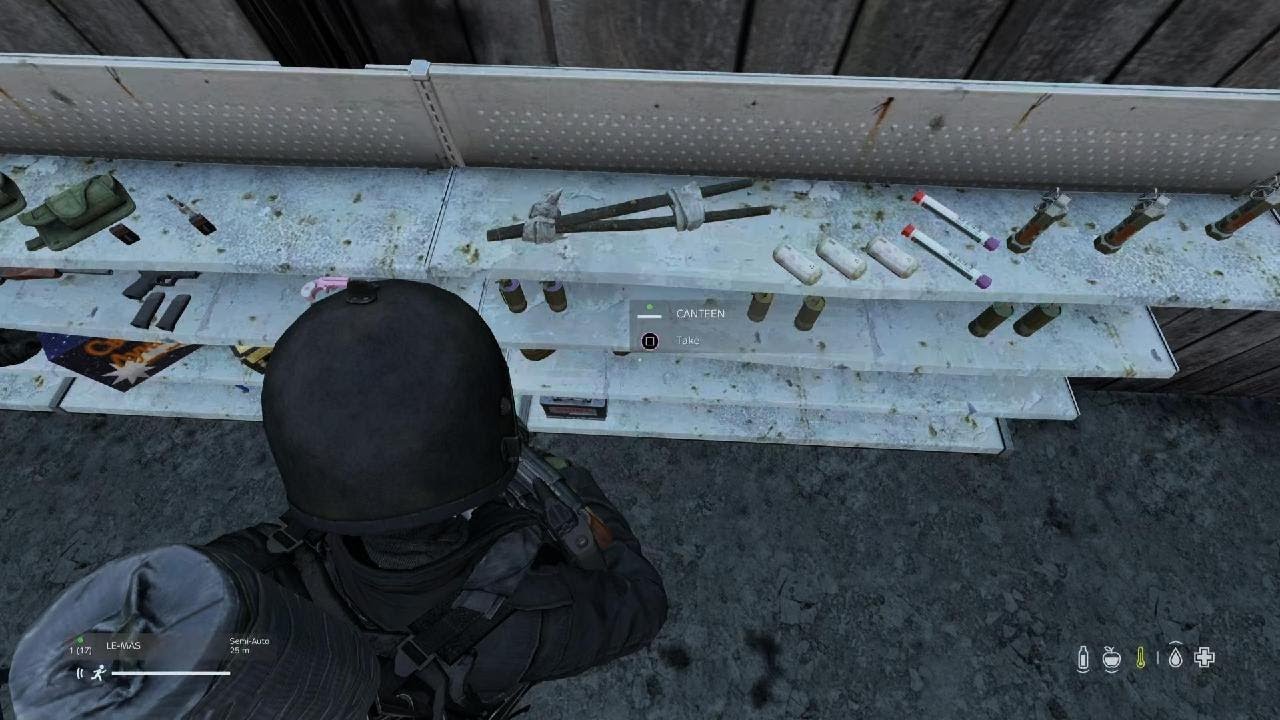 DayZ_20260107201803