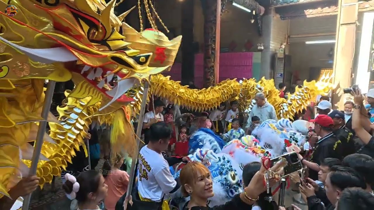 除夕 越南龙狮团都齐集在天后圣母庙 迎接新春