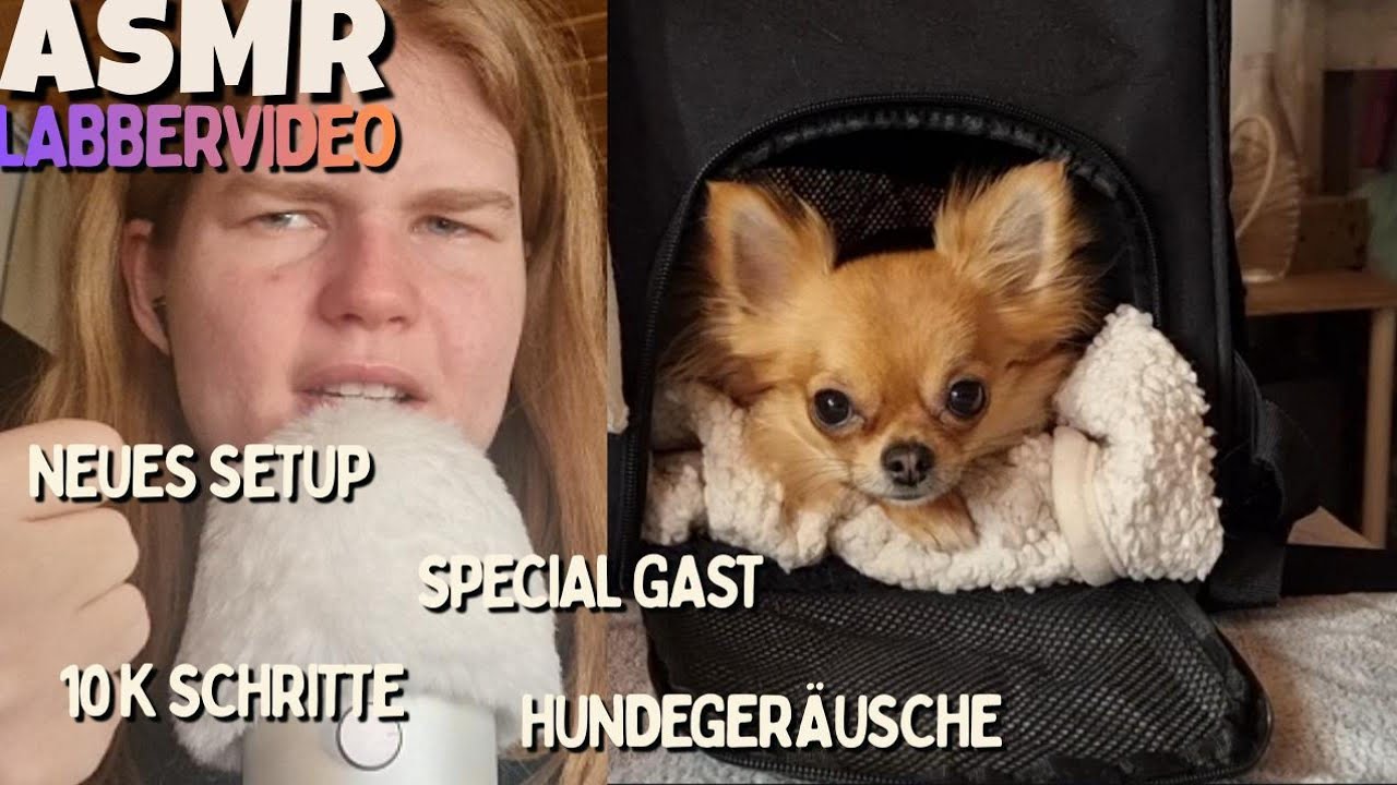 ASMR Labbervideo | Zwergi als Special Guest 🐶 neues Setup & Fitness-Vorsätze