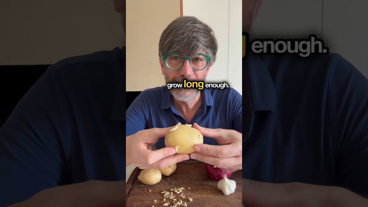 Patate e cipolle come conservarle #danielepaci #agronomo #patate #cipolla #aglio #potato #tip #hack