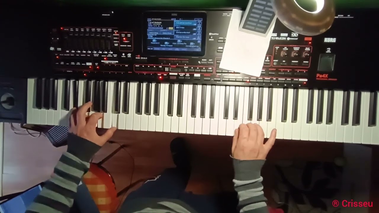 #V444 🎹🚦Te aștept noapte și zi !🤷