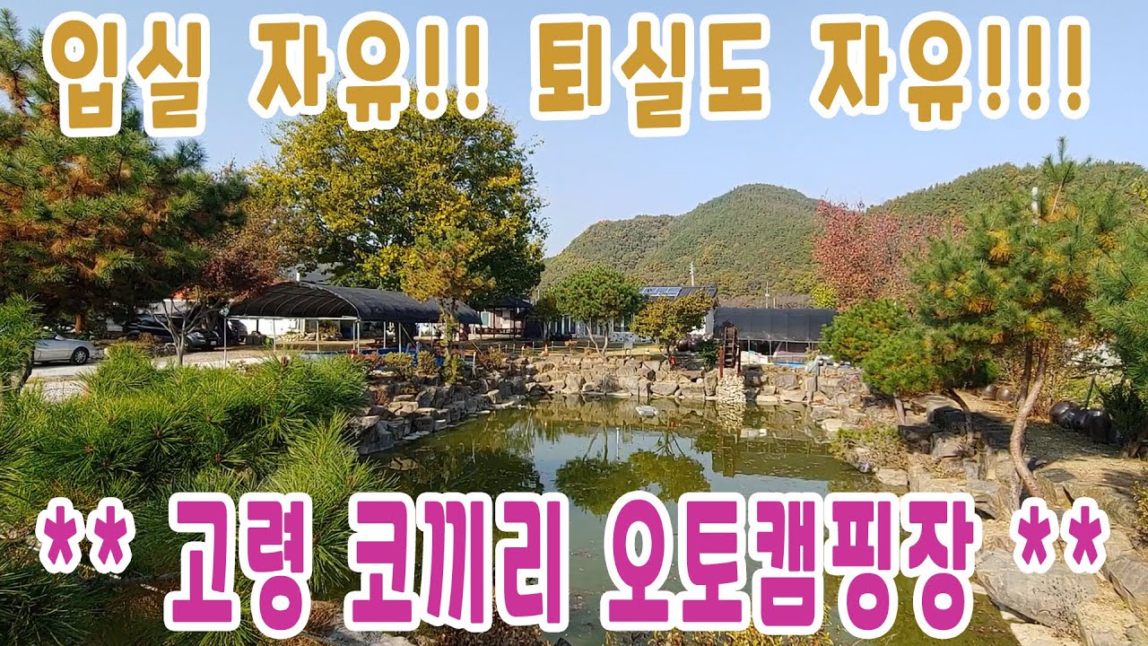 경북 고령 코끼리 (관광농원) 오토캠핑장 디테일한 리뷰~~