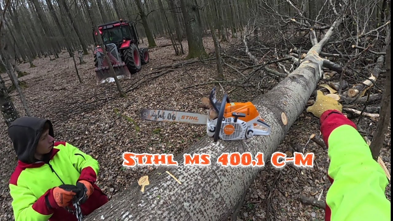 Лесозаготовка в новых посадках, наконец-то лучшая местность, Stihl ms 400.1 CM, Amles, Лесные работы