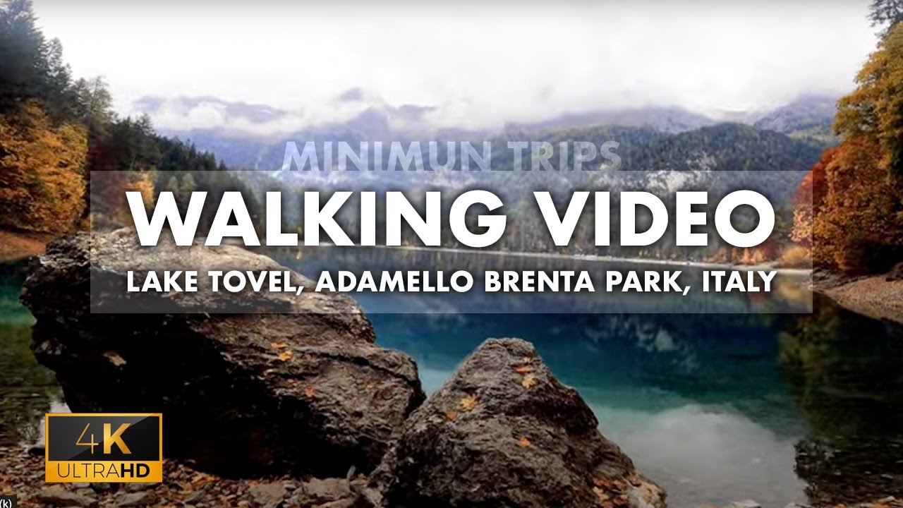 Lake Tovel walk: Adamello Brenta Park, Trentino, Italy [ edit 4K Video ]