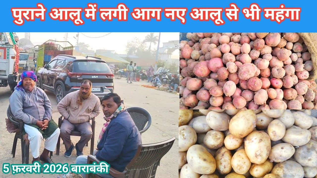 पुराने आलू में लगी आग नए आलू से भी महंगा 5 फरवरी 2026 🥰 purane aalu ka bhav 🥔 naye aalu ka bhav 