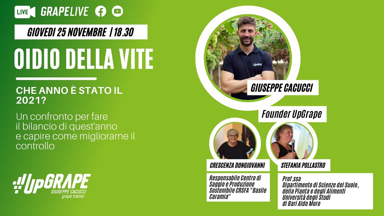 Grape Live - Oidio della vite: che anno è stato il 2021?