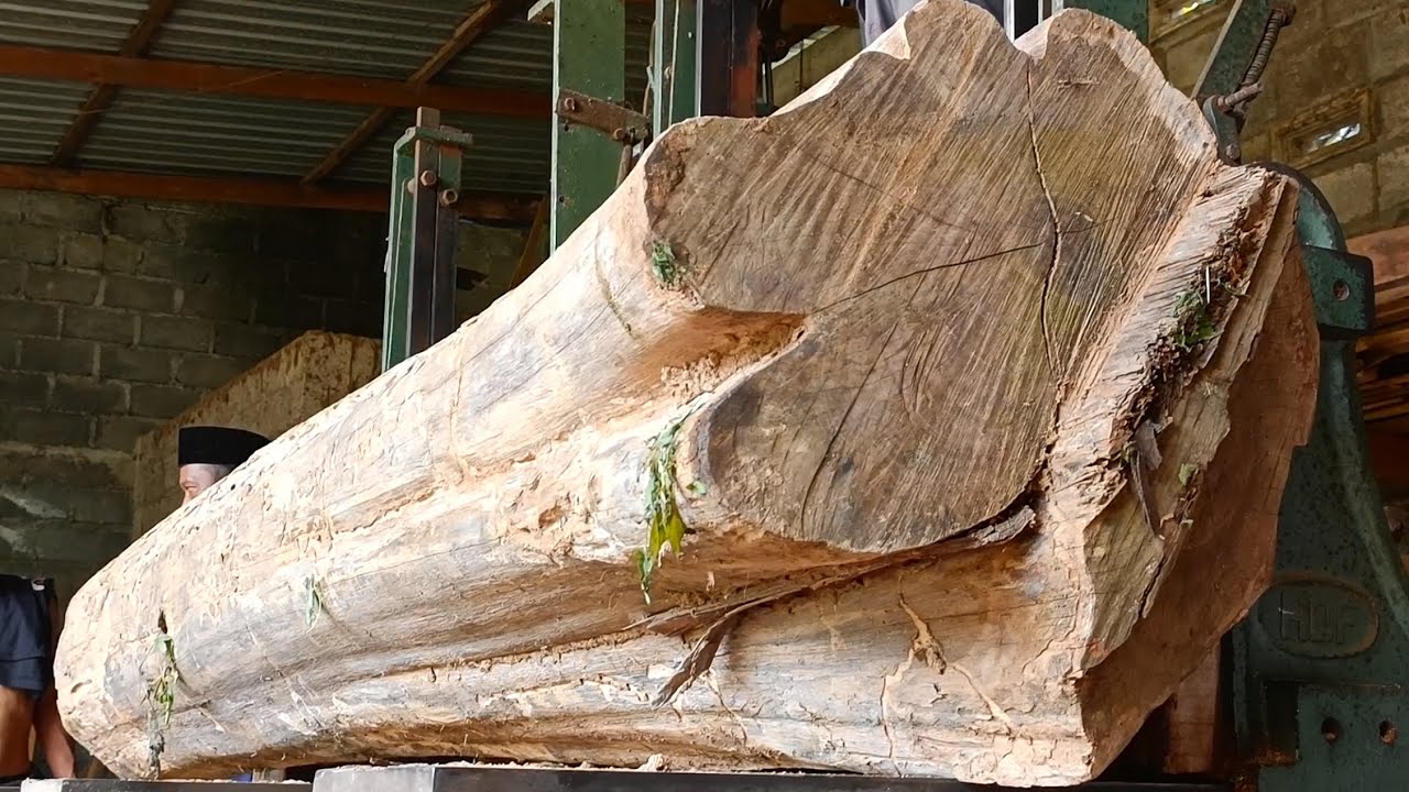 An invention that is not only exotic, but also truly practical and beautiful in the sawmill