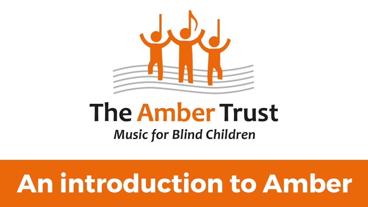 Introduction to the Amber Trust