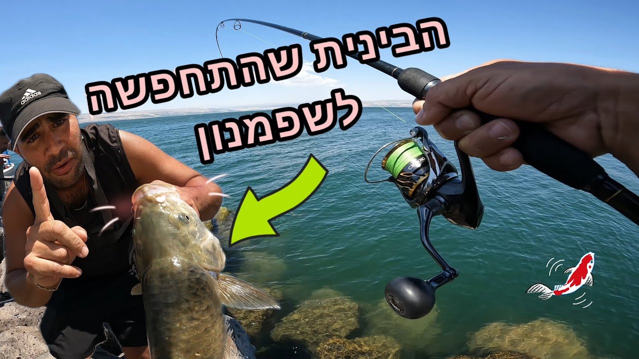 הבינית שהתחפשה לשפמנון, דיג בשני נקודות בחופי הכנרת עם מפלצת שמצליחה לבלבל אותי 😄