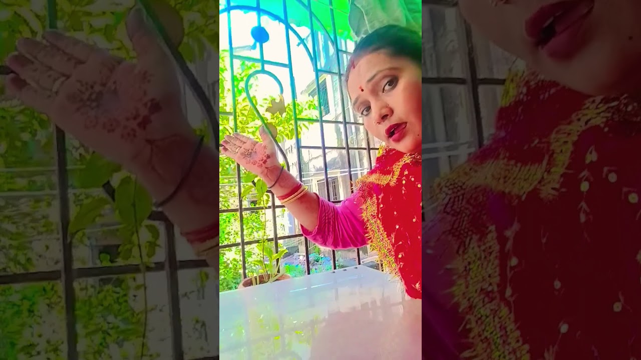 तुलसी भजन गीत 🙏 