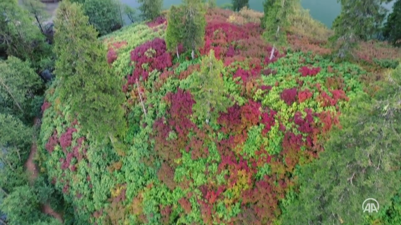 Borcka Karagol Nature Park in Turkiye's Artvin