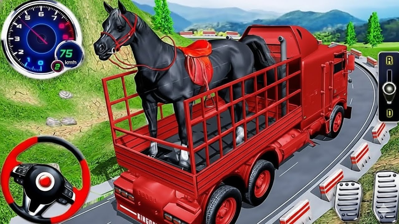Animal transport TRUCK DRIVING. 