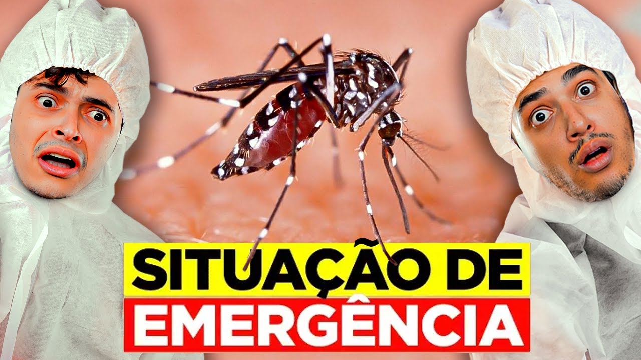 DENGUE -  Tudo que VOCE PRECISA SABER