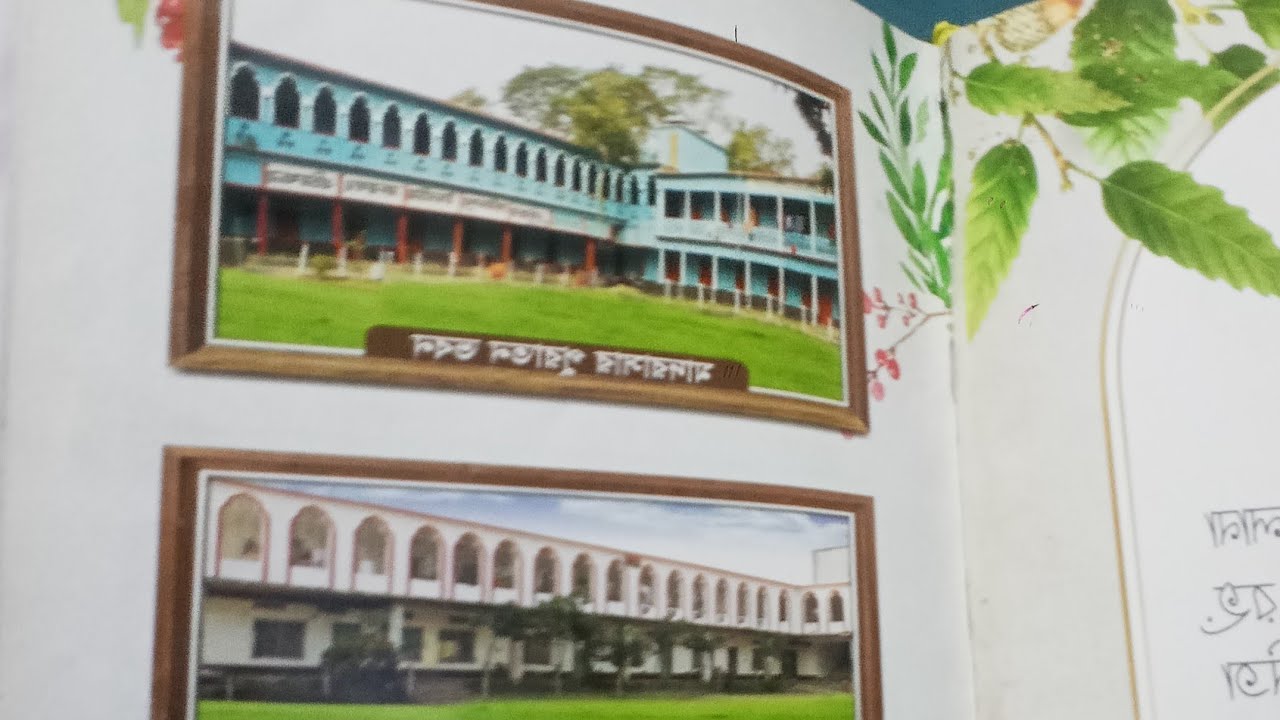 কোন জিনিস অতিরিক্ত হওয়া ভালো নয় দুইটি জিনিস ছারা এক জ্ঞান দুই ভদ্রতা. Live.🏵️