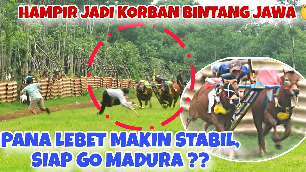 TREN LAPANGAN TEMPORAN || PAN4 LEBET MAKIN GACOR 🔥, BINTANG JAWA SIAP MENUJU ULTAH GAGAK RIMANG