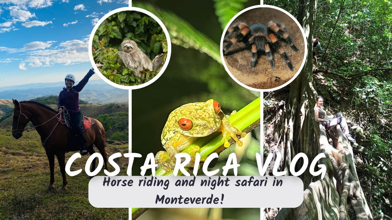 Horse Riding and Night Safari (Monteverde | Costa Rica Vlog 11)