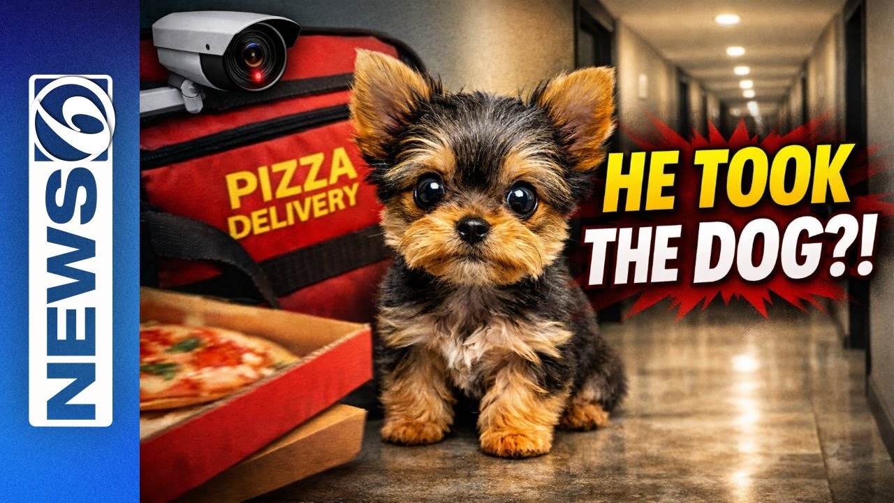 Pizza Delivery Driver Scoops Up Child’s Yorkie From Apartment Hallway