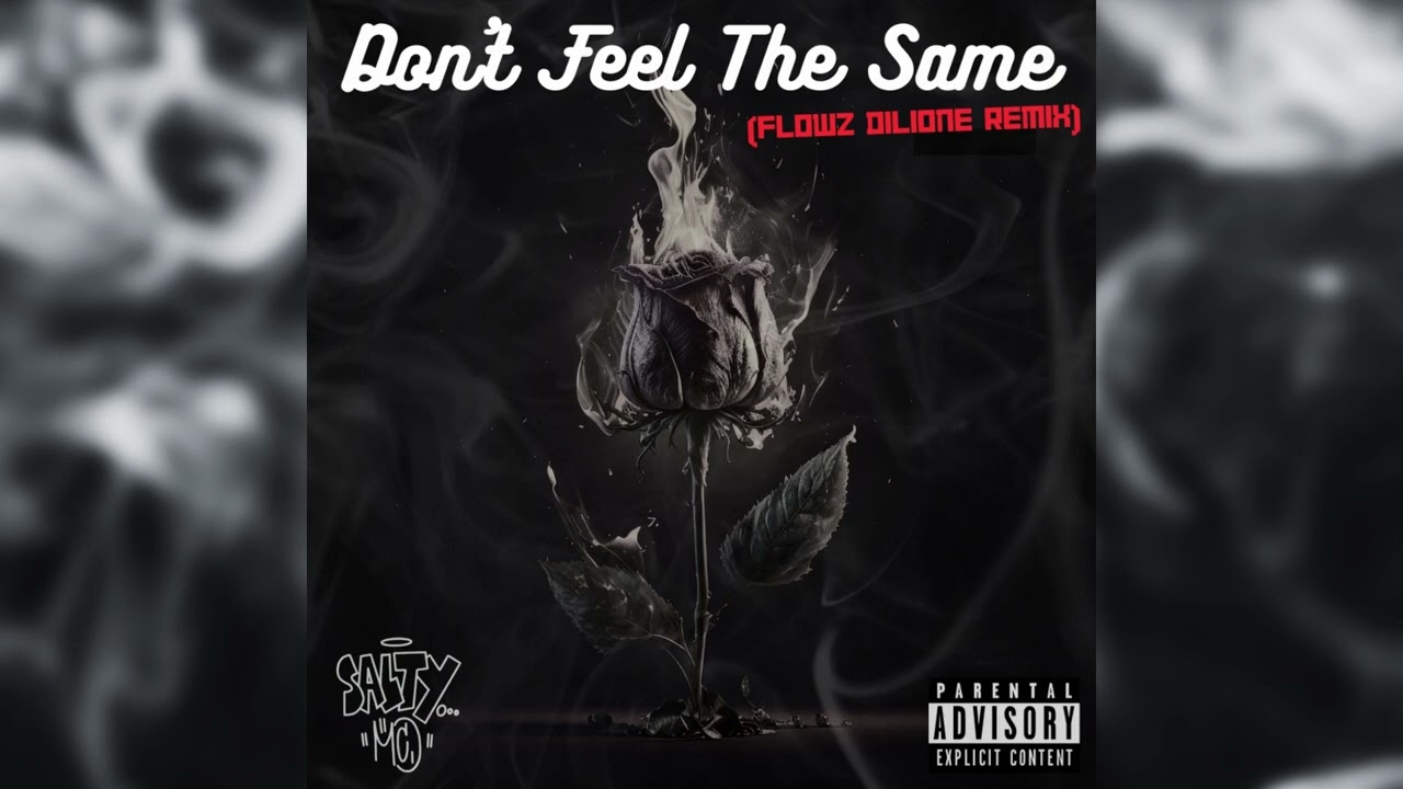 Don't Feel The Same (Flowz Remix) - SALTY MC