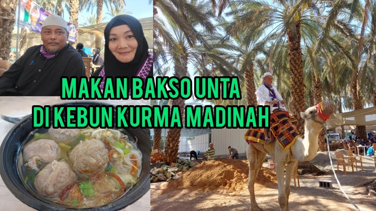 MAKAN BAKSO UNTA DI KEBUN KURMA MADINAH