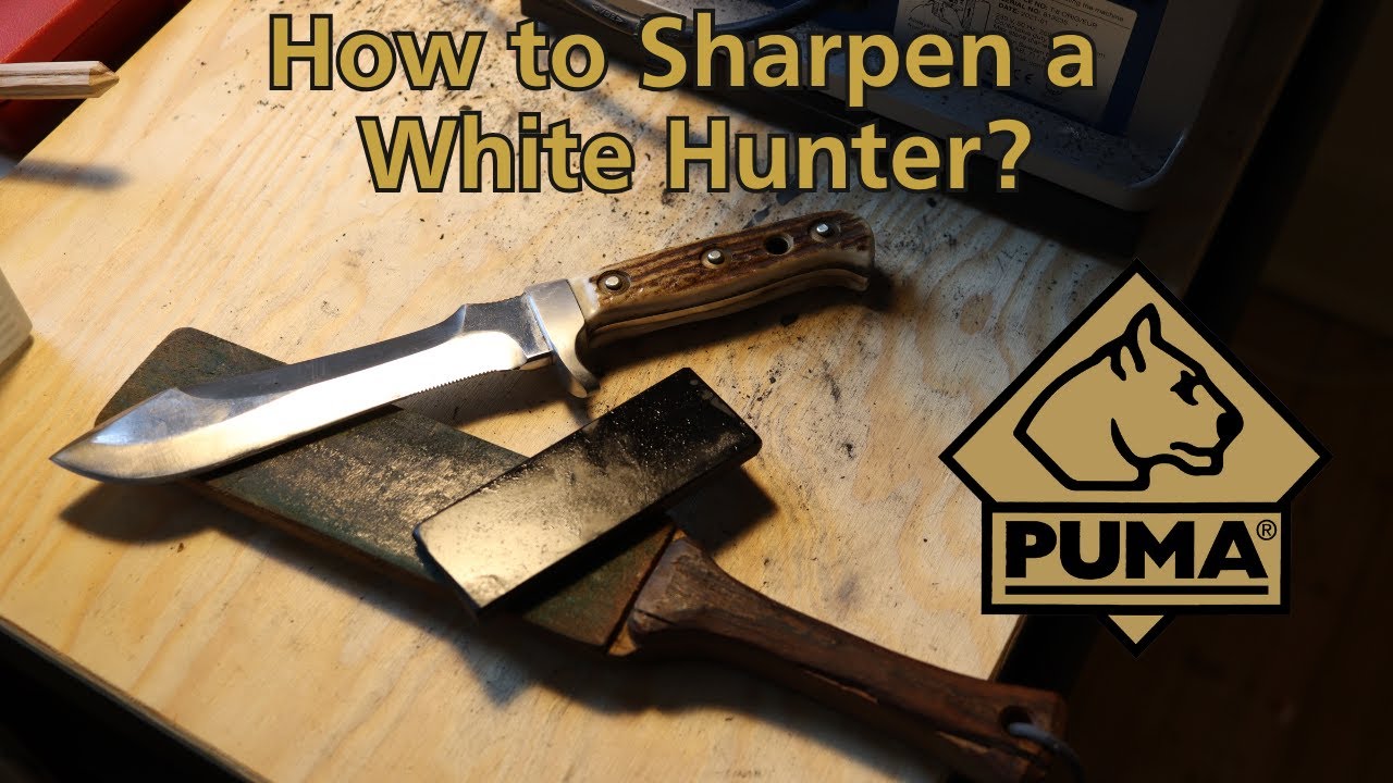 How to Sharpen a White Hunter Knife - Automesser Blade Sharpening Tutorial [DIY]