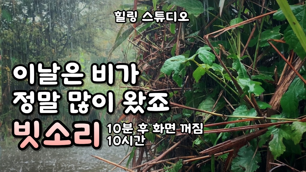 비가 많이 온 날 만난 수면 빗소리ㅣChuva Hipnótica | Apague Sua Mente e Durma Rápido