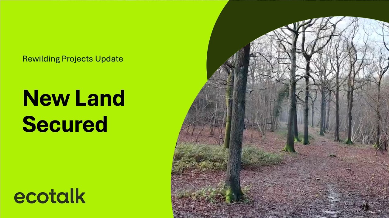 A Huge Win for Nature…New Land Secured