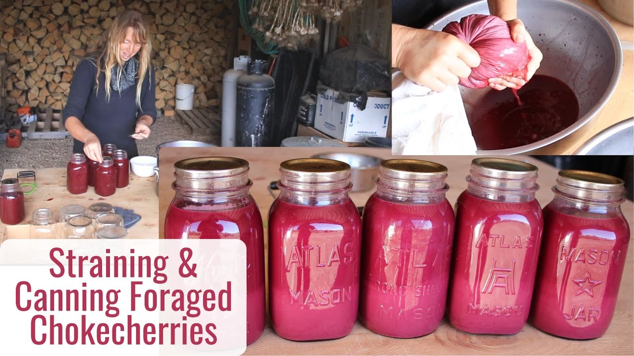 Straining & Canning Our Foraged Choke Cherries to Enjoy Through the Winter, Preserving More Food