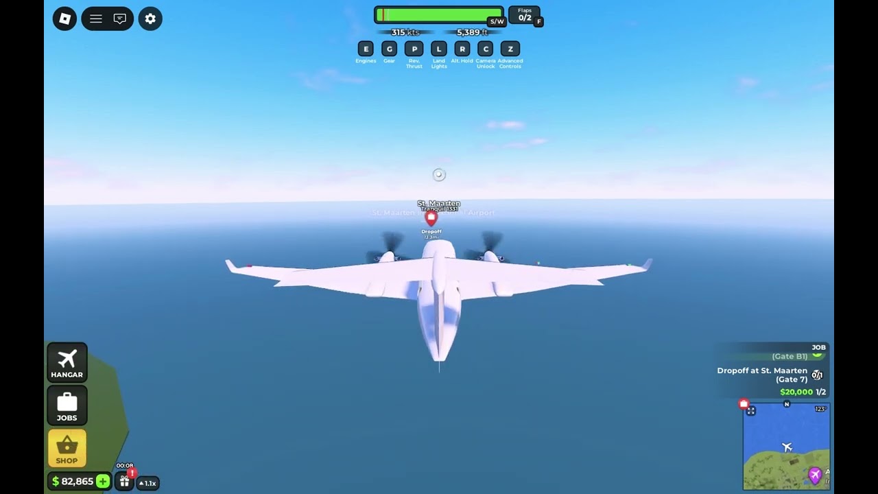Flight world