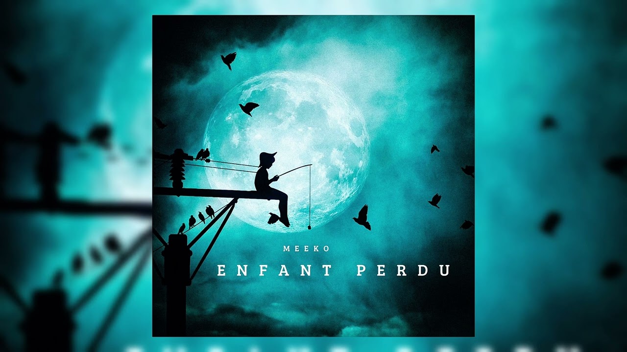 Meeko - Enfant perdu