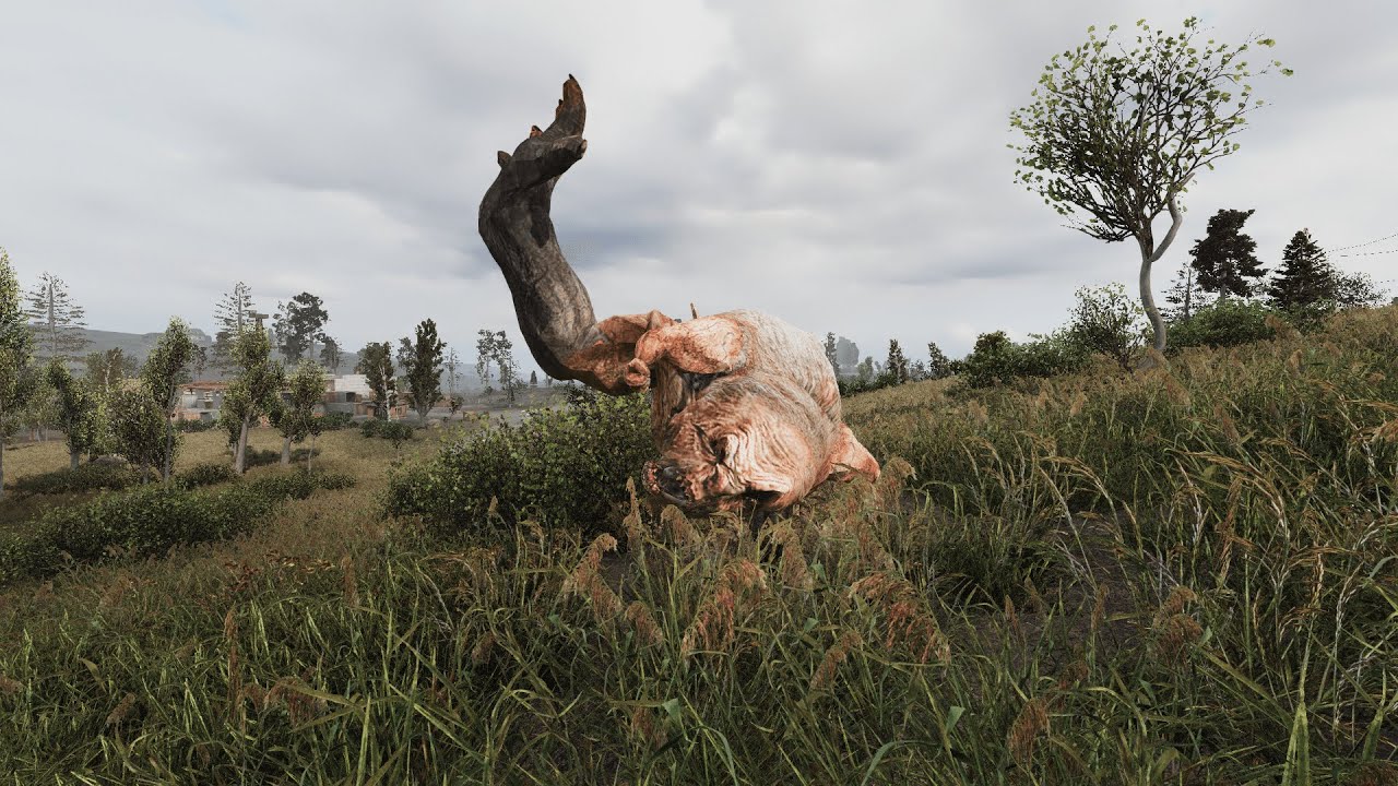 【 STALKER Anomaly】Interactive Grass - Pseudogiants