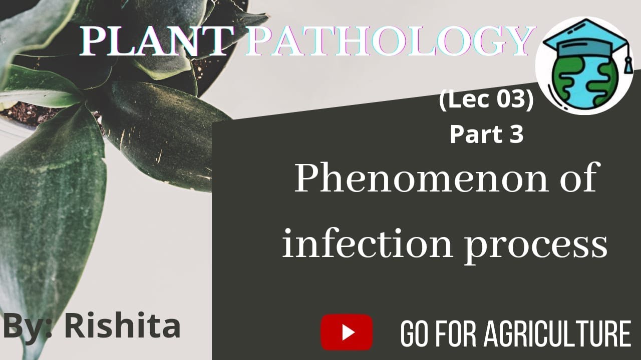 Phenomenon of Infection process in plants •Go For Agriculture Education #icar #bhu #ibps