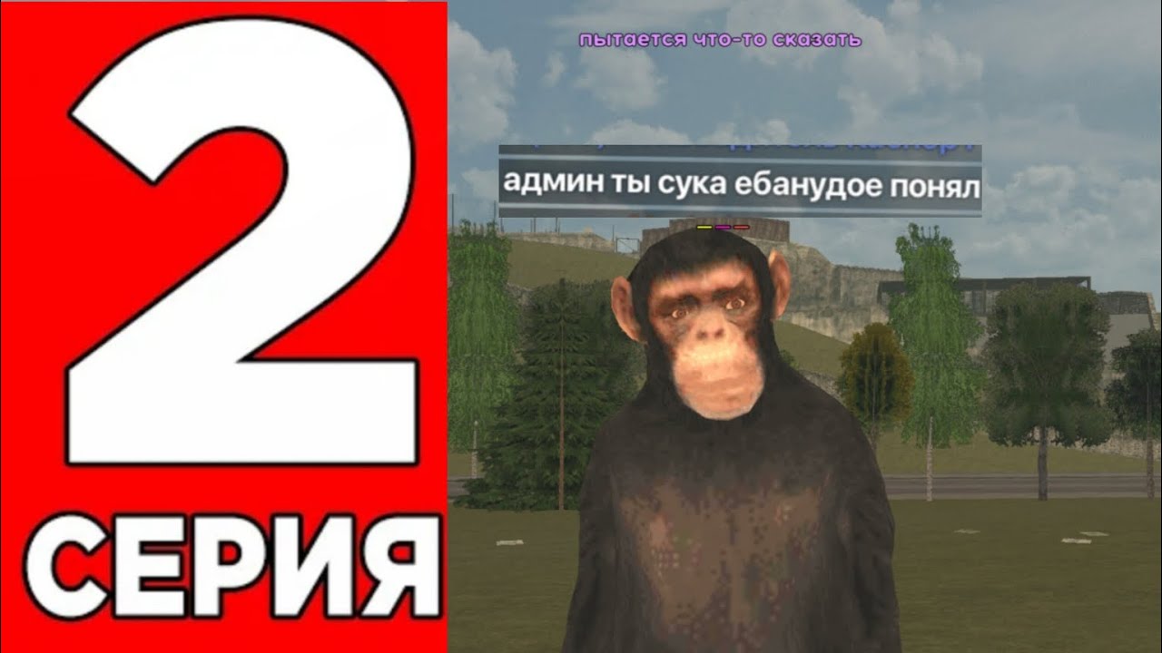 БУДНИ АДМИНА #2 - ПОВЫДАВАЛ ОБЕЗЬЯНИКИ😂, Live Russia, Лайв раша