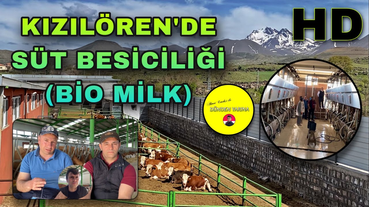 Kızılören’de Süt Besiciliği • Bio Milk ᴴᴰ