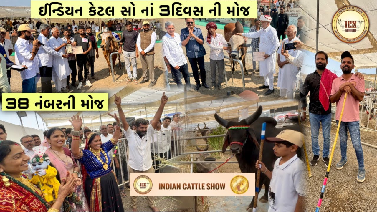 Indian Cattle Show-2026🔥| દિવસ-૪ ભાગ-૧ | પોપટયા ના ૩૮ નંબર ની ફુલ મોજ🥰