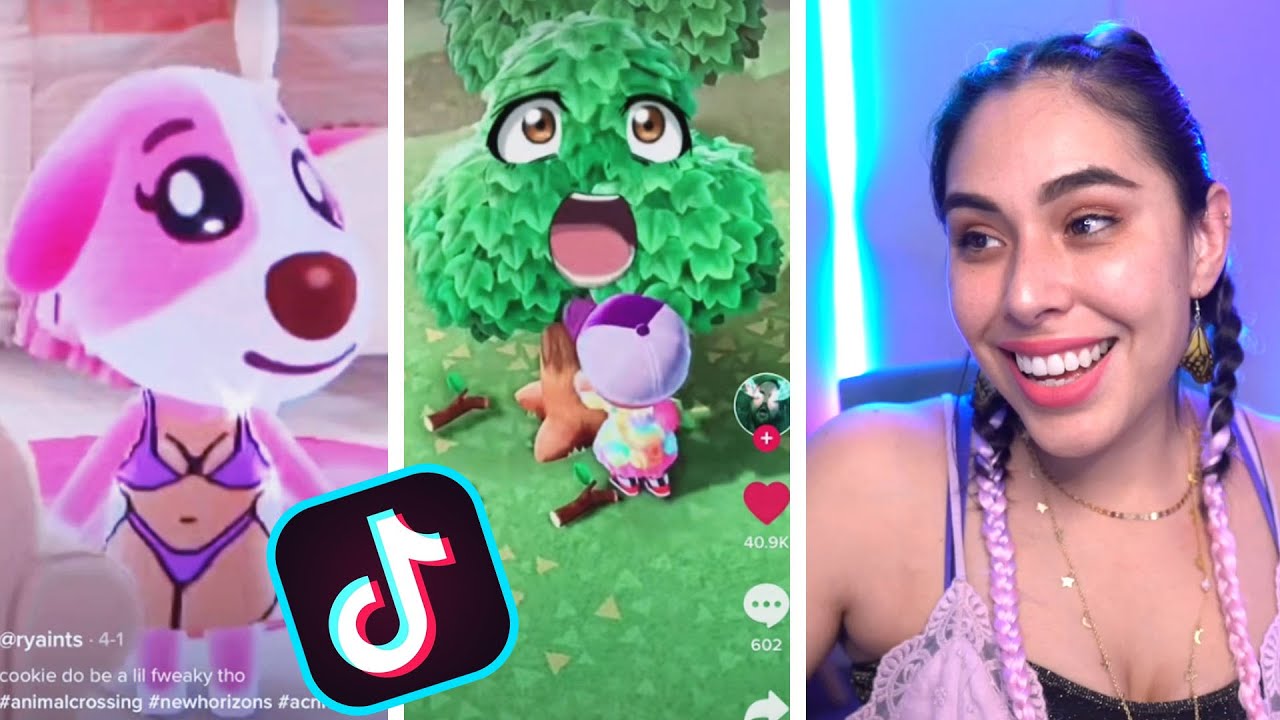 Animal Crossing TIK TOKS that will make you LOL